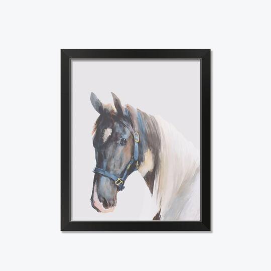 Horse Watercolor Black Framed Print